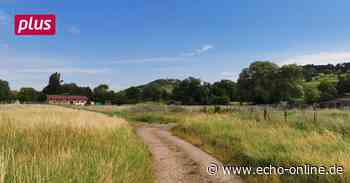 Heppenheim: Motorradfreunde kehren in die Heimat zurück - Echo Online