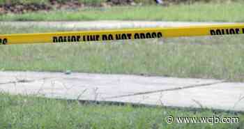 Gainesville police are investigating a shooting in Cedar Grove - WCJB