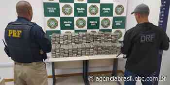 Polícia apreende 250 quilos de maconha em Angra dos Reis - Empresa Brasil de Comunicação