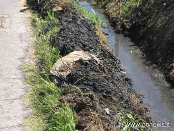 Obbligo di ripulitura dei fossi di scolo a Fucecchio - gonews.it - gonews