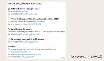 Il canale WhatsApp del Comune di Fucecchio supera i 5mila iscritti - gonews.it - gonews