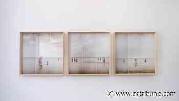 La mostra di Franco Ferro alla galleria Ligreggi di Catania - Artribune