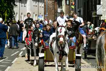 £500,000 Appleby Horse Fair bill comes under microscope - The Cumberland & Westmorland Herald