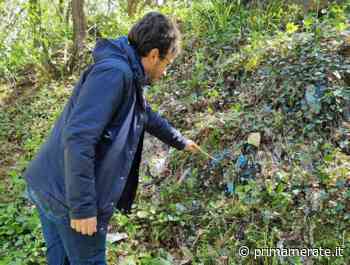 Discarica di San Francesco? Il Comune: "Nessun pericolo, nessuna contaminazione" - Prima Merate