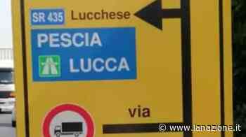 Forza Italia contro i cartelli in viale Europa "Sono poco chiari" - LA NAZIONE