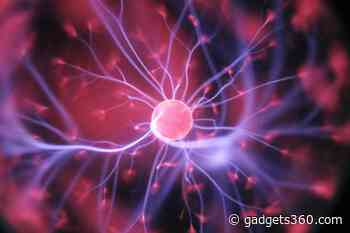Scientists Find New Brain Mechanism That Could Help Manage Substance Abuse