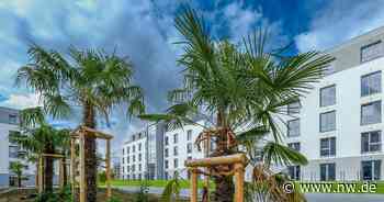 Wohnbauprojekte auf der Kippe: Was sagen Banken und Makler in OWL? - Neue Westfälische