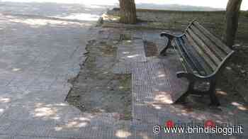 Piazza del Salento a Brindisi, la denuncia: “ Benvenuti nel degrado” - Brindisi Oggi, news Brindisi notizie Brindisi e provincia - BrindisiOggi