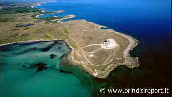 Da Brindisi alla riserva di Torre Guaceto in autobus: si parte lunedì - BrindisiReport