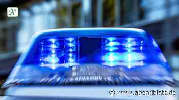 Polizei Pinneberg: Dreiste Täter bestehlen Rollstuhlfahrer in Elmshorn - Hamburger Abendblatt