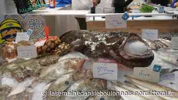 Boulogne-sur-Mer : abus de confiance autour de crustacés et de mollusques - La Semaine dans le Boulonnais