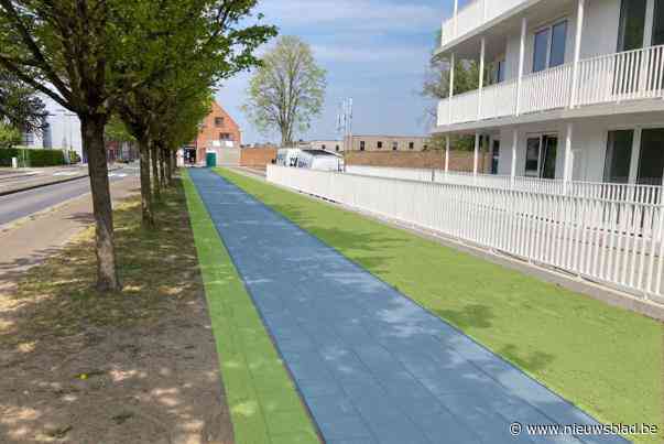 Voetpad en groenstroken vernieuwd aan basisschool De Wegel