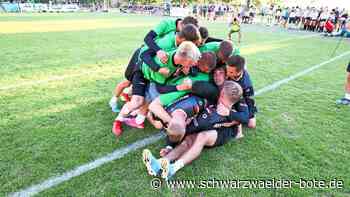 Faustball U18 EM: Unterhaugstetter Faustballer Europameister