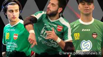 Sorrento Futsal: confermati Aversa, Del Santo e De Cristofaro - Positanonews - Positanonews