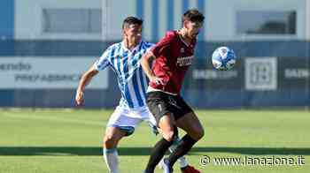 Piace il Pontedera visto a Ferrara S’intravede il pensiero-Catalano - LA NAZIONE