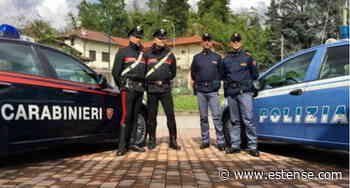 A Ferrara reati in calo anche a luglio nonostante il grande afflusso agli eventi | estense.com Ferrara - Estense.com