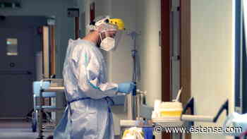 Covid nel Ferrarese, quattro lutti e quattro ricoveri | estense.com Ferrara - Estense.com