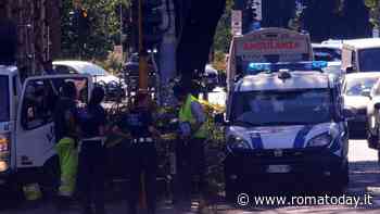Ramo si spezza e cade su due auto in transito