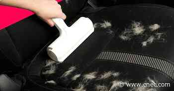 Ditch Those Disposable Lint Rollers for This Reusable $16 Pet Hair Remover     - CNET