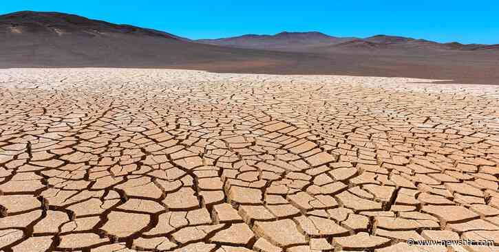 Polkadot Loses Steam As DOT Sheds 10% After Weekly Gains