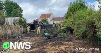 Haagbrand breidt razendsnel uit in Sint-Genesius-Rode: brandweer wijst op groot brandgevaar bij droogte - VRT NWS