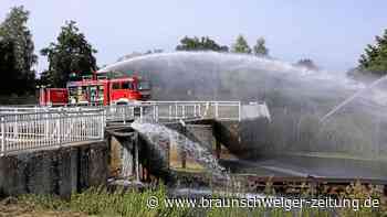 Dramatische Rettungsaktion für Aller-Fische in Wolfsburg