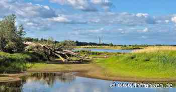 Landkreis Bamberg: Niedrigwasser an fast allen Gewässern - Wasserentnahmen sind verboten