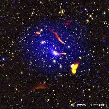 We found some strange radio sources in a distant galaxy cluster. They're making us rethink what we thought we knew.