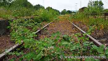 Verkehr - Wiederbelebung alter Bahnstrecken lohnt sich vielerorts - Wirtschaft - Süddeutsche Zeitung - SZ.de