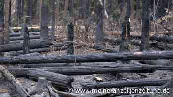 „Uns fliegen die Stornierungen um die Ohren“