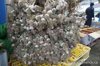 S. Korean garlic video ad roasted over purported obscenity - Virden Empire Advance