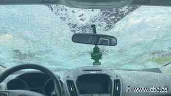 'Grapefruit-sized hail' fell Monday in Alberta, and it may break a record