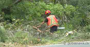 Tweed, Ont. remains under state of emergency one week after tornado - Global News