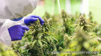 Should You Hold Aurora Cannabis Inc (ACB) Stock Wednesday Morning? - InvestorsObserver