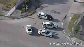 Man Caught on Camera Fatally Shooting Woman in NW Miami-Dade Alleyway: Police