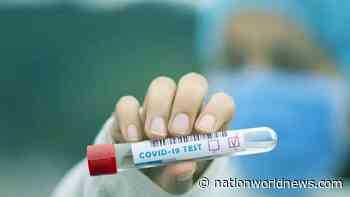 So You Can Check If You Have Never Had Coronavirus - Nation World News