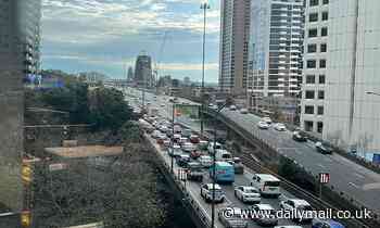 Sydney Harbour Bridge crash: Multi-car crash on Warringah Freeway - Daily Mail