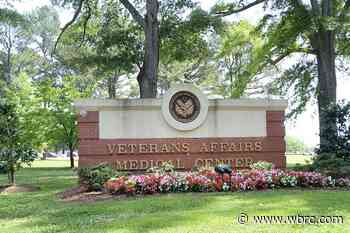 Tuscaloosa VA Medical Center hosts caregiver summit - WBRC