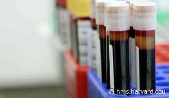 Undercounting COVID Cases? | Harvard Medical School - Harvard Medical School