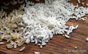 Cotações do arroz em casca seguem em alta - SBA1.com