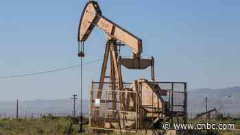 Bear be damned: Retail investors are scooping up energy stocks at near record levels - CNBC