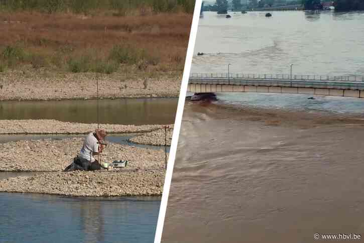 Vorig jaar stond het water nog aan de lippen in Maaseik, dit jaar kan je de Maas te voet oversteken