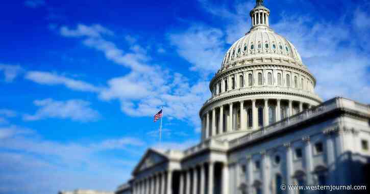 Scaros: GOP Winning Back Congress? Be Careful What You Wish For