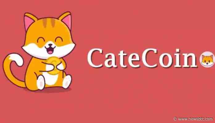 Meme Coin CateCoin Silently Balloons Over 250% – Time To Buy CATE?