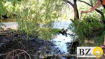 Salzgitteranerin versinkt im Innerste-Schlamm