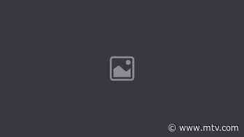 Superstar DJ Steve Aoki Will Sleep When He's Dead - MTV