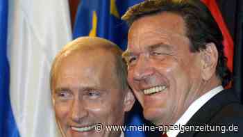 Ukraine-Krieg: Schröder ist „Herold des Reichs und eine Stimme am Hof des russischen Tsaren“