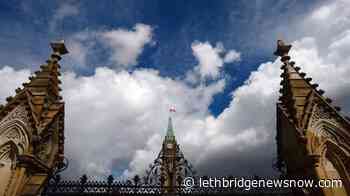 Police arrest driver in early morning Parliament Hill crash - Lethbridge News Now