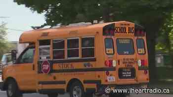 Ottawa school bus authority 'cautiously optimistic' all routes will be covered this fall - iHeartRadio.ca