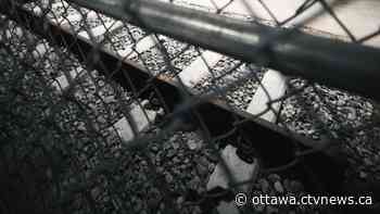 Maintenance on LRT will close parts of line early every night in mid-August - CTV News Ottawa